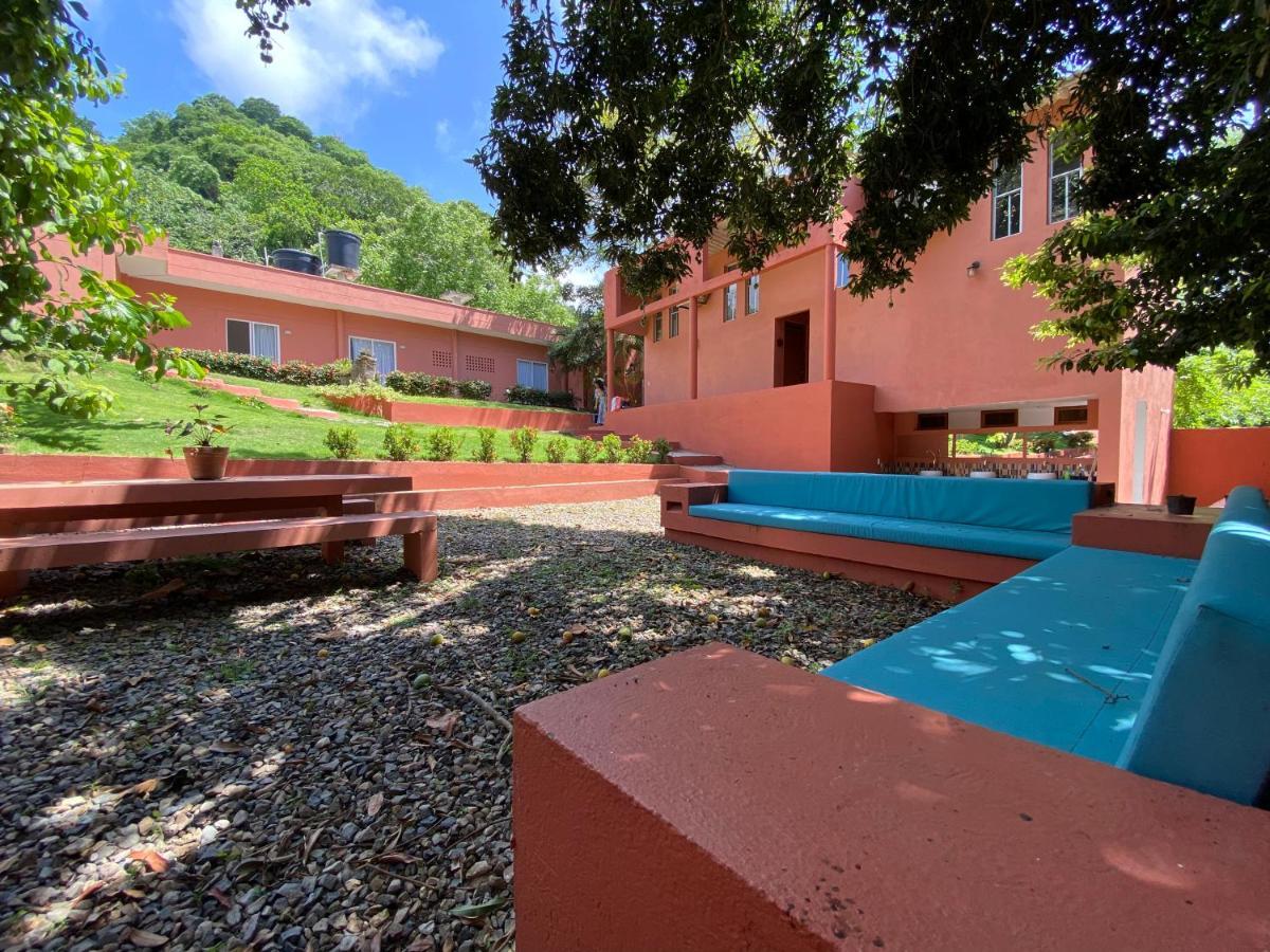 Color Hostel 帕洛米诺 外观 照片